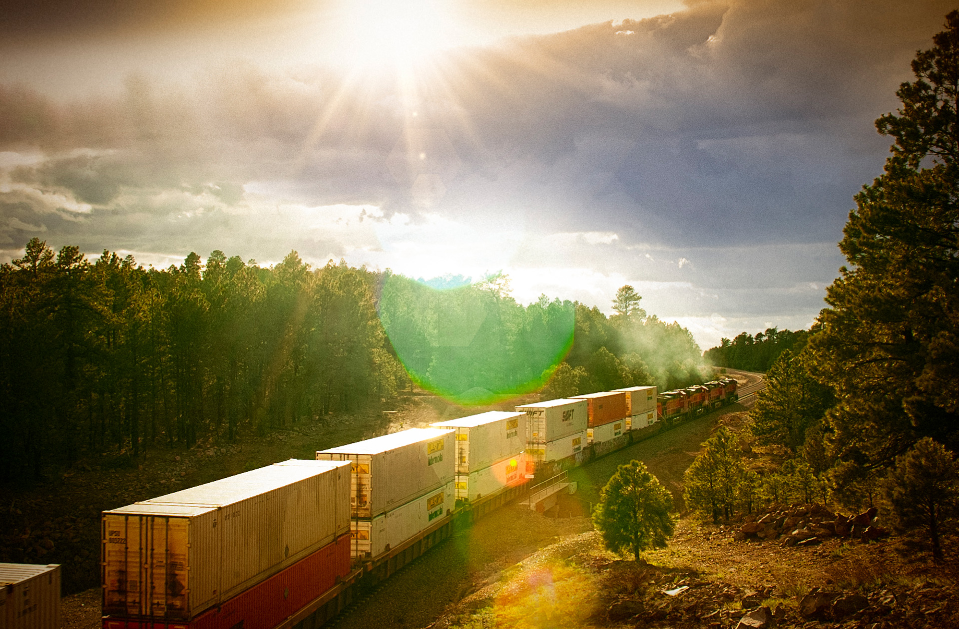 A photo taken from Nikon D1 of a train going through a forest